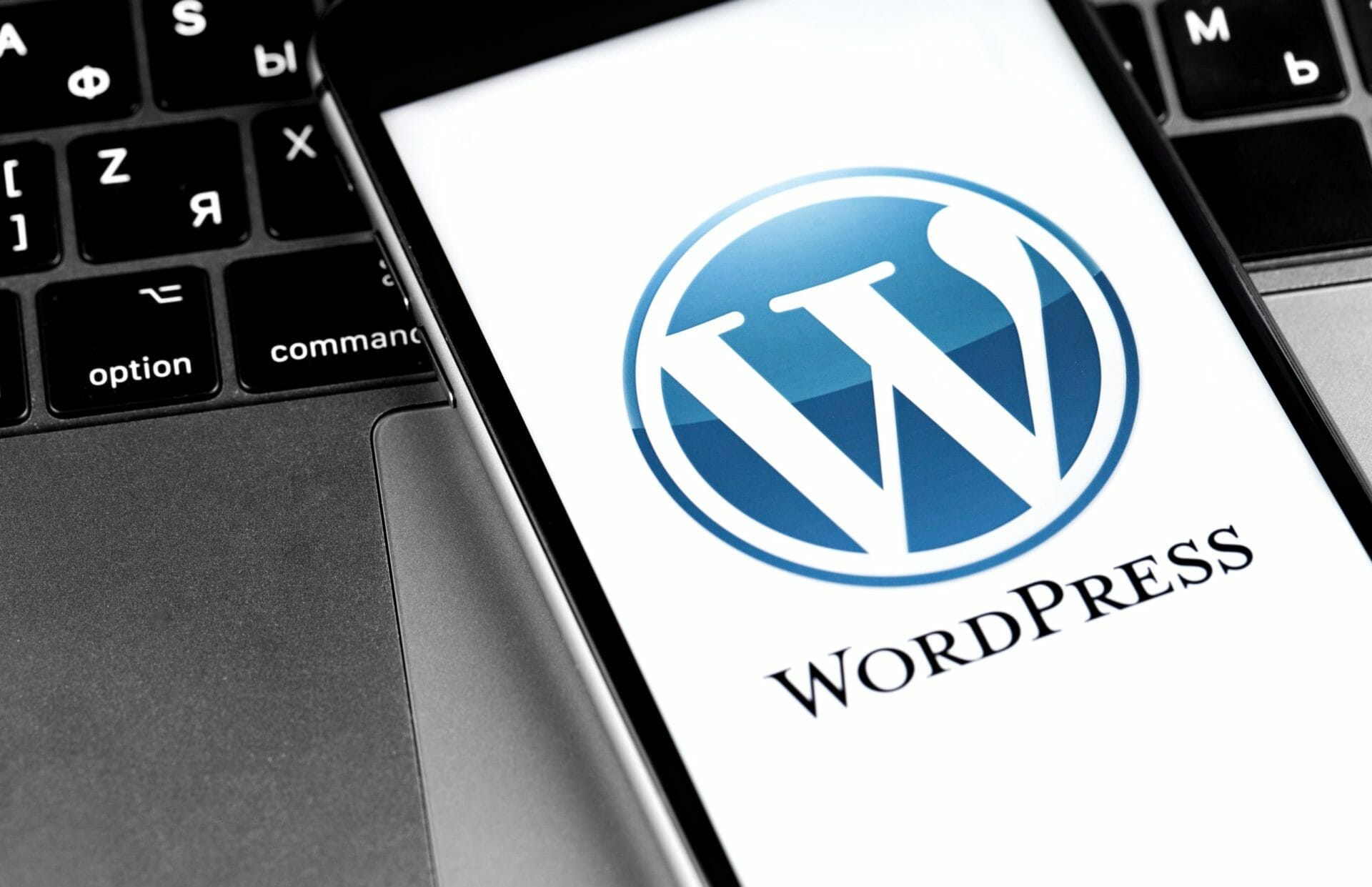 wordpress